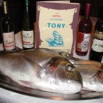 Hotel Tony Pag